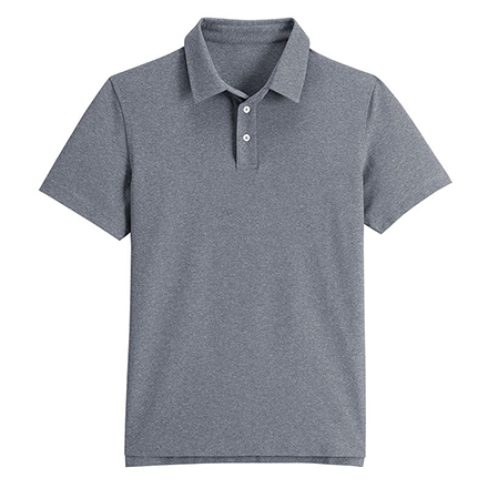 polodm