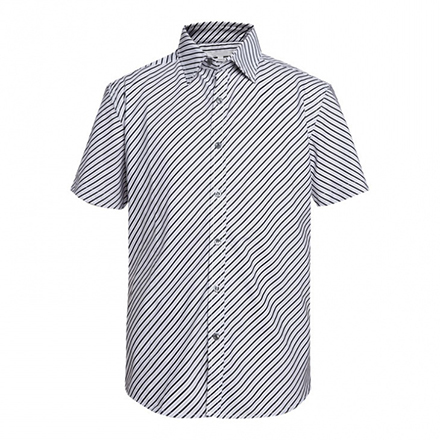 dshirtb1